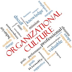 Organizational culture 